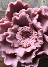 Hippy Sister Soap Co. Peony Dusty Rose Soap