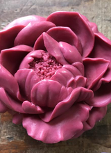 Hippy Sister Soap Co. Blossoming Peony Deep Rose Soap