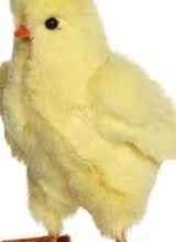 Mark Roberts 51-85280