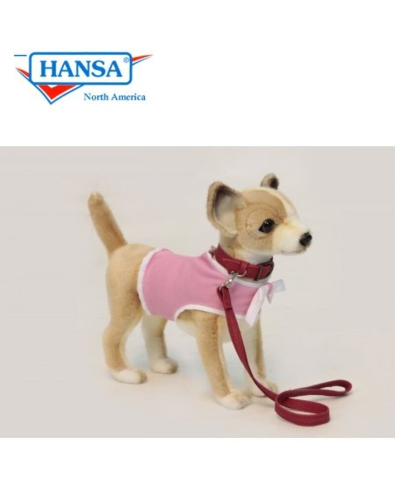 Chihuahua With Pink Coat And Leash