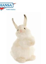 Rabbit, Baby White