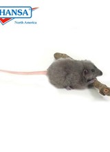 Mouse (Gray)
