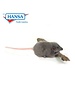 Mouse (Gray)