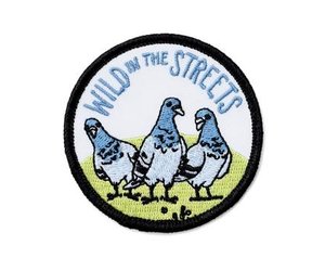 『The Pigeon』 Racing Pigeons 