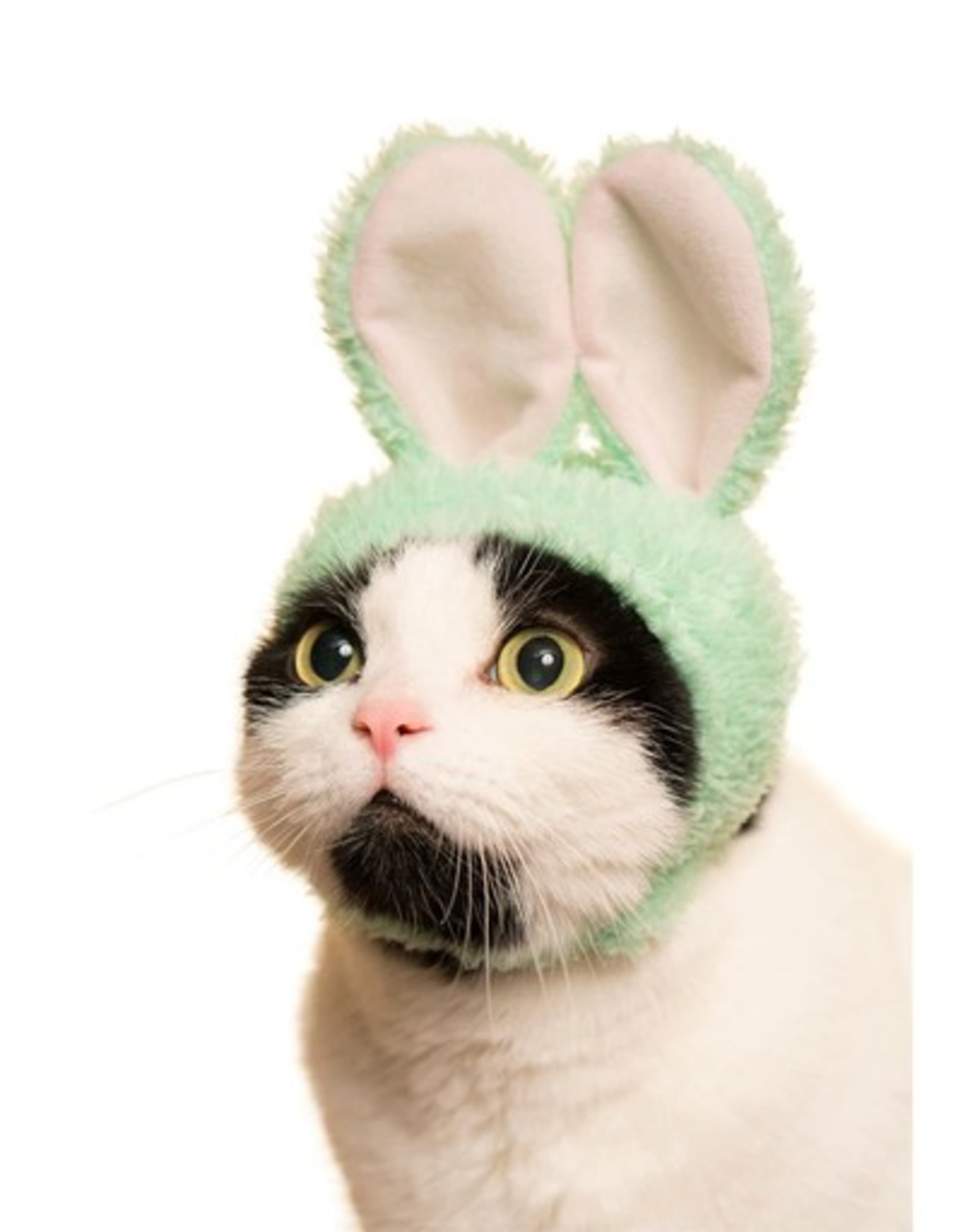 Rabbit Cat Cap Blind Box