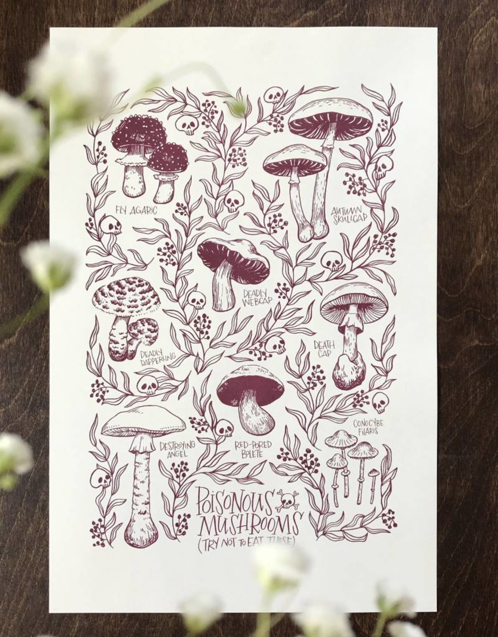 Poisonous Mushrooms Print