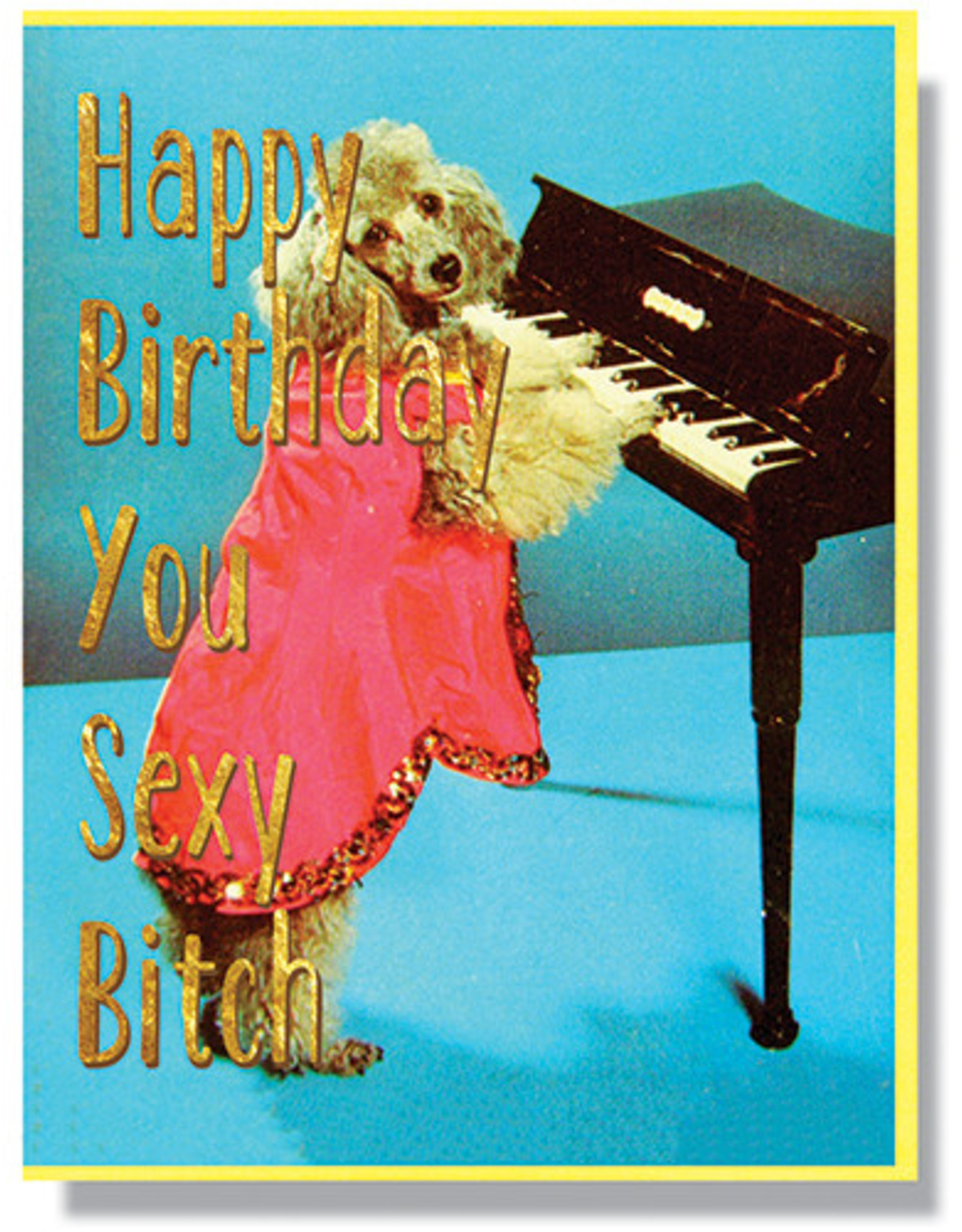 Happy Birthday, You Sexy Bitch Greeting Card