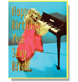 Happy Birthday, You Sexy Bitch Greeting Card
