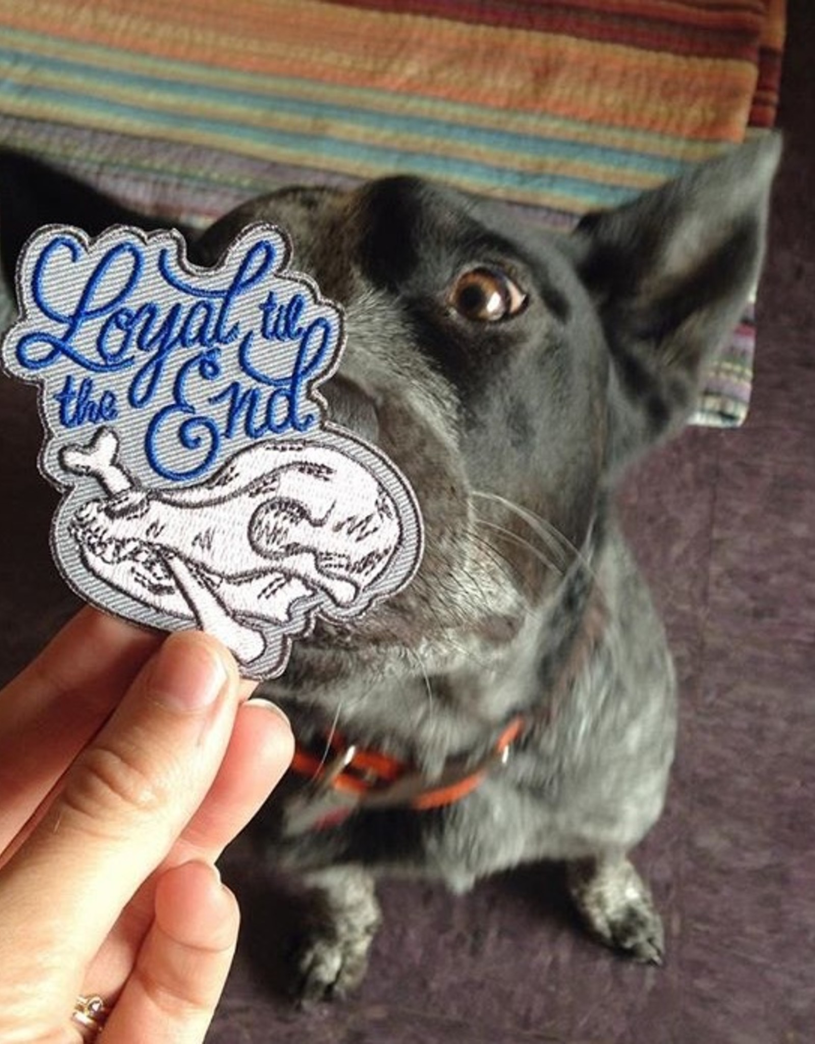 Loyal Til The End Dog Patch (glow in the dark!)