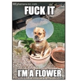 Fuck it, I'm a Flower Dog Magnet