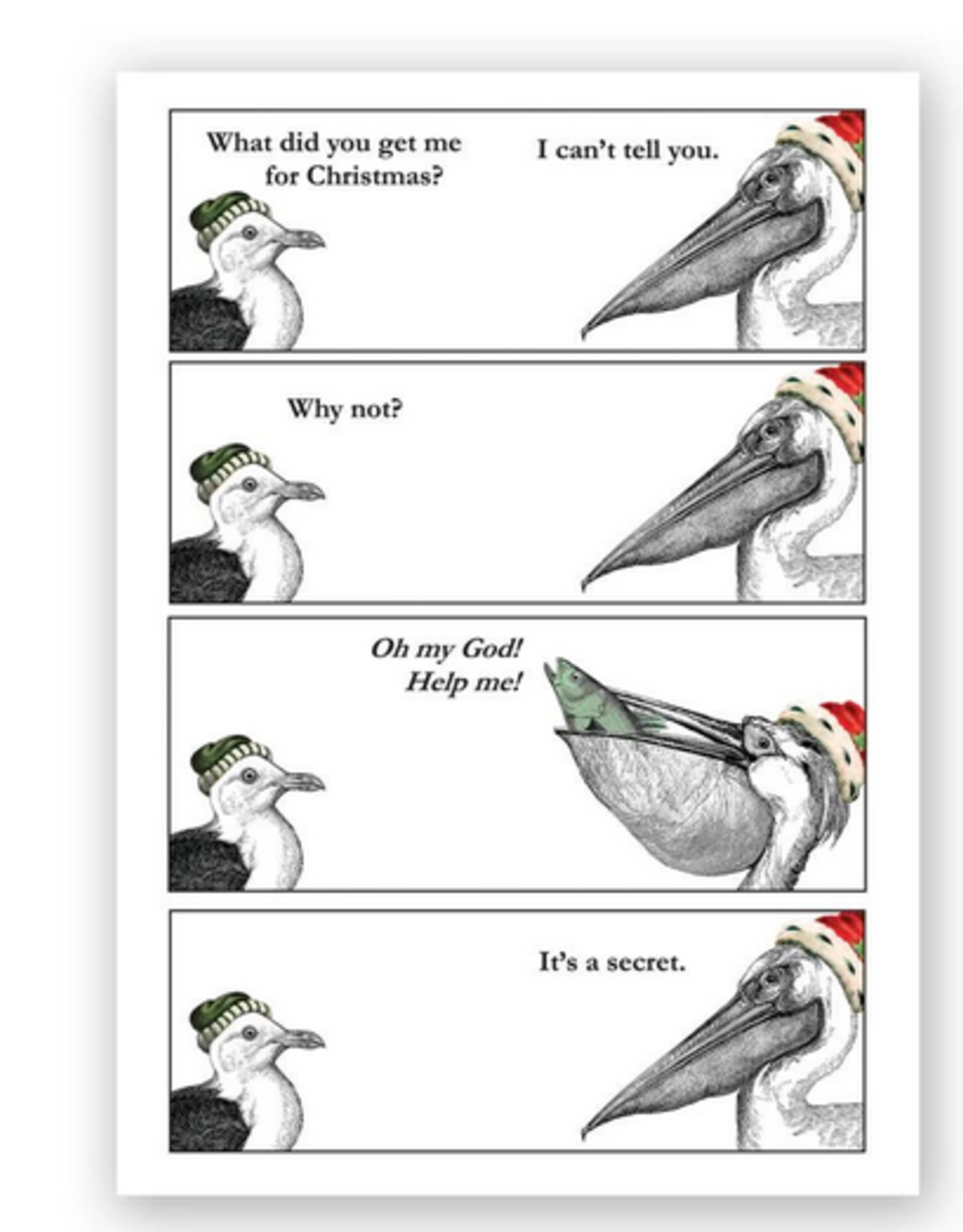 Seagull & Pelican Christmas Greeting Card