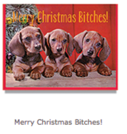 Merry Christmas Bitches Greeting Card