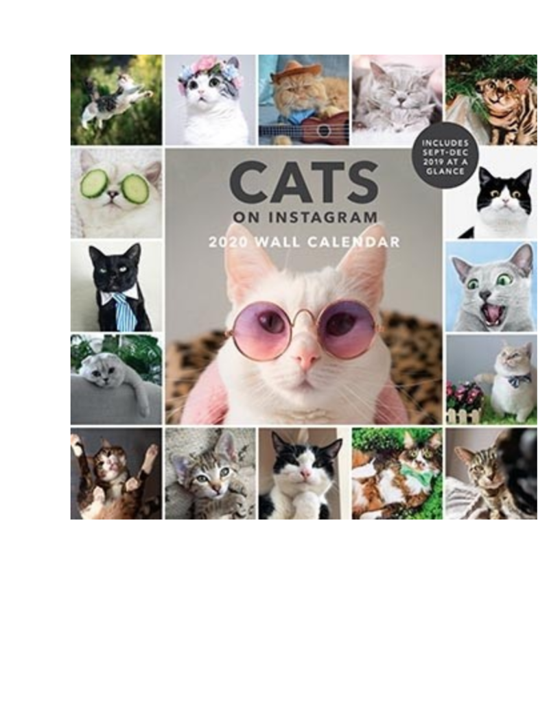 Cats on Instagram 2019 Wall Calendar