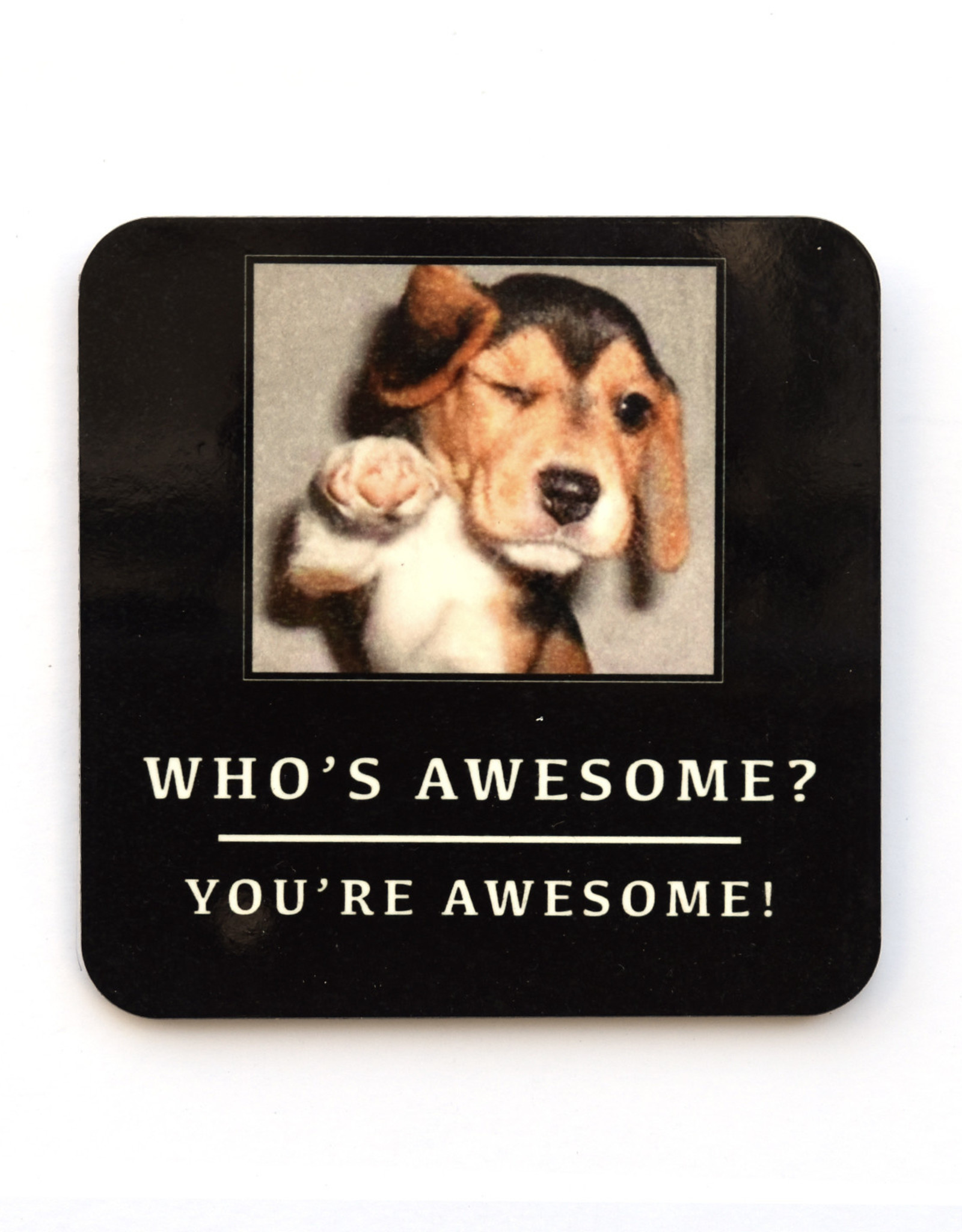 Who S Awesome Dog Coaster Home Who S Awesome Dog Coaster Home