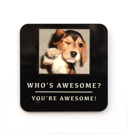 Who's Awesome? Dog Coaster