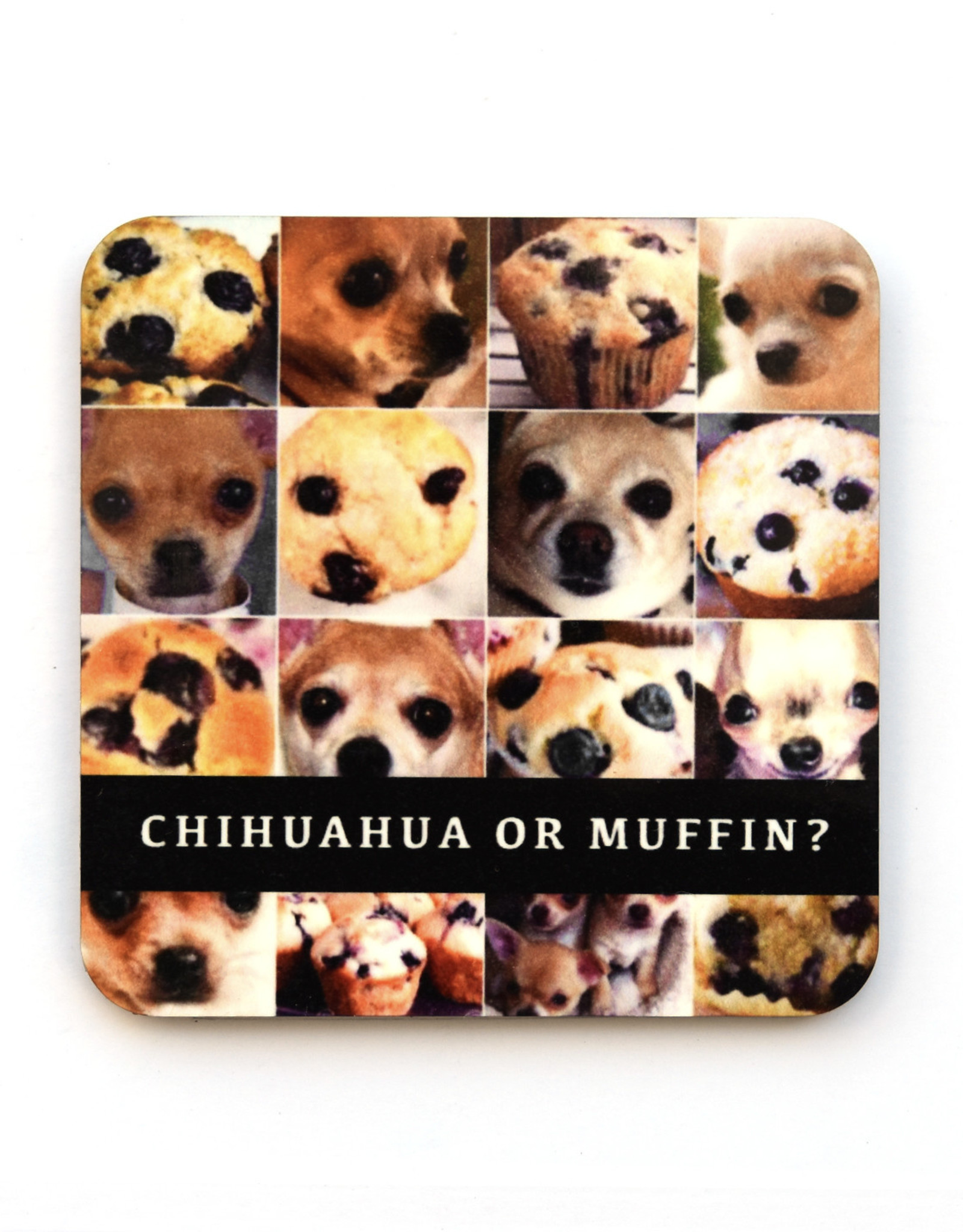 Chihuahua or Muffin? Coaster