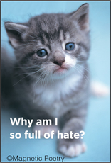 Why Am I So Full of Hate? Magnet