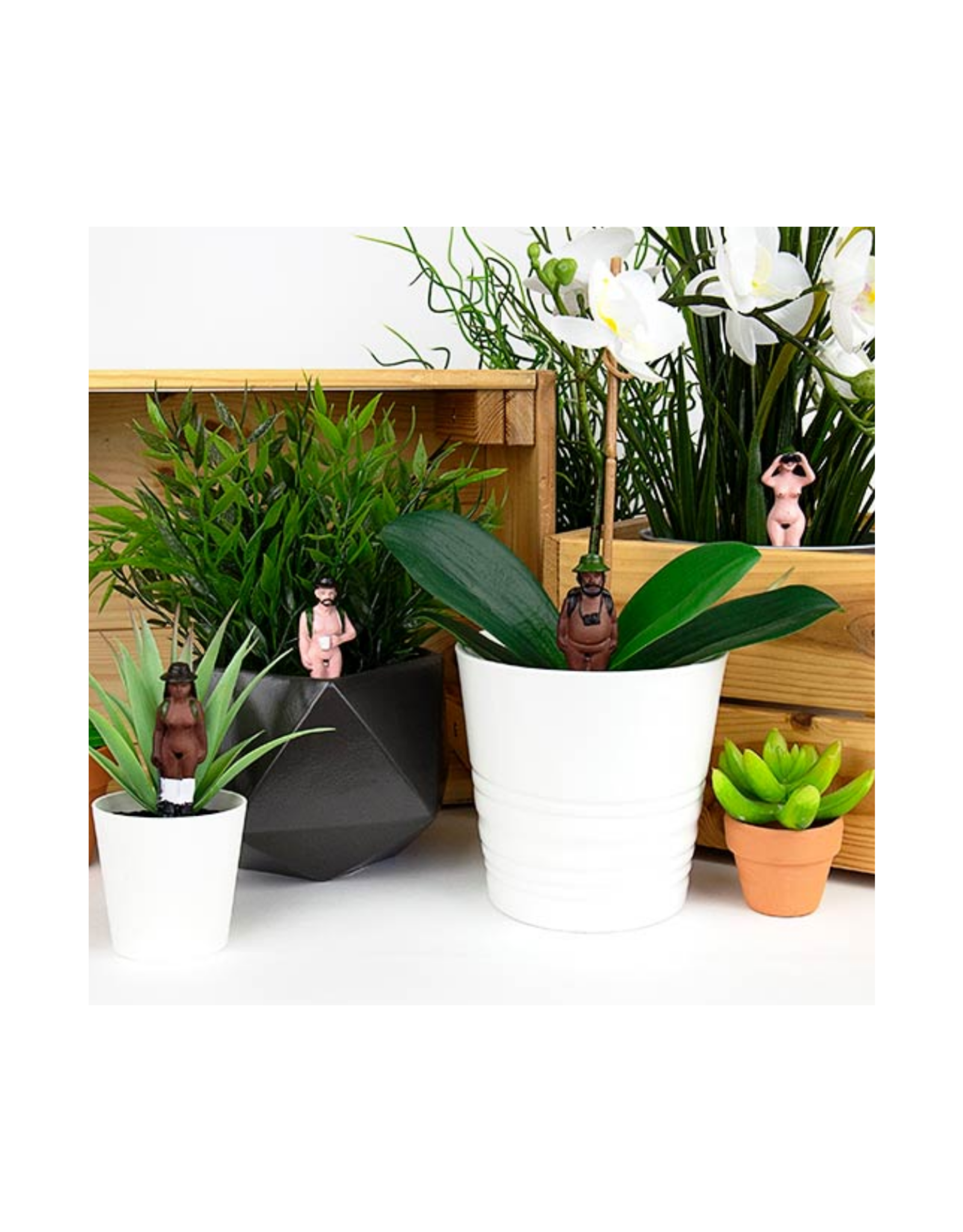 Naked Ramblers Planter Decor