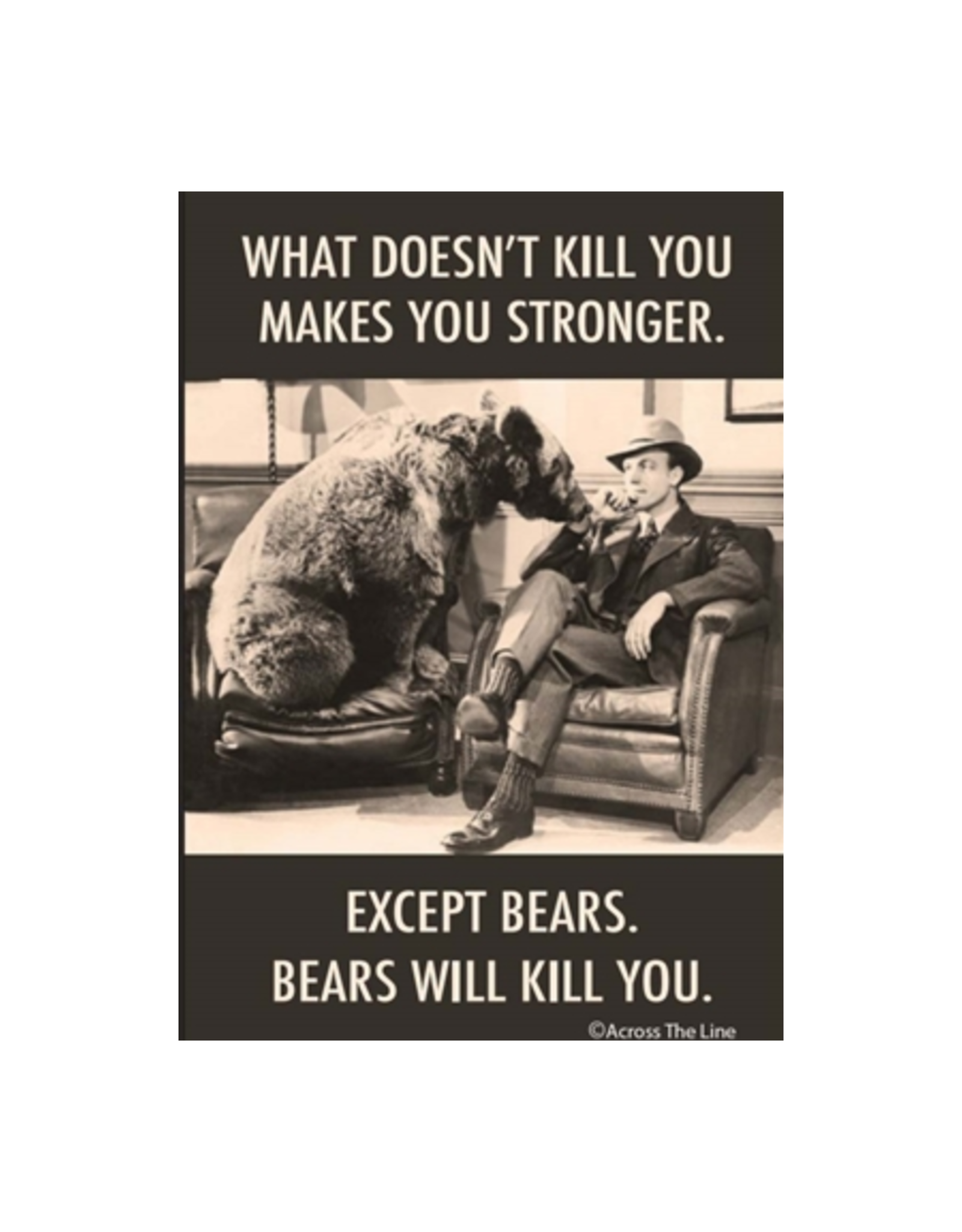 What Doesn't Kill You Bears Magnet