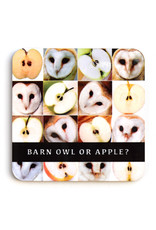 Barn Owl or Apple? Coaster