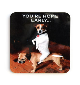 You're Home Early...Dogs Coaster