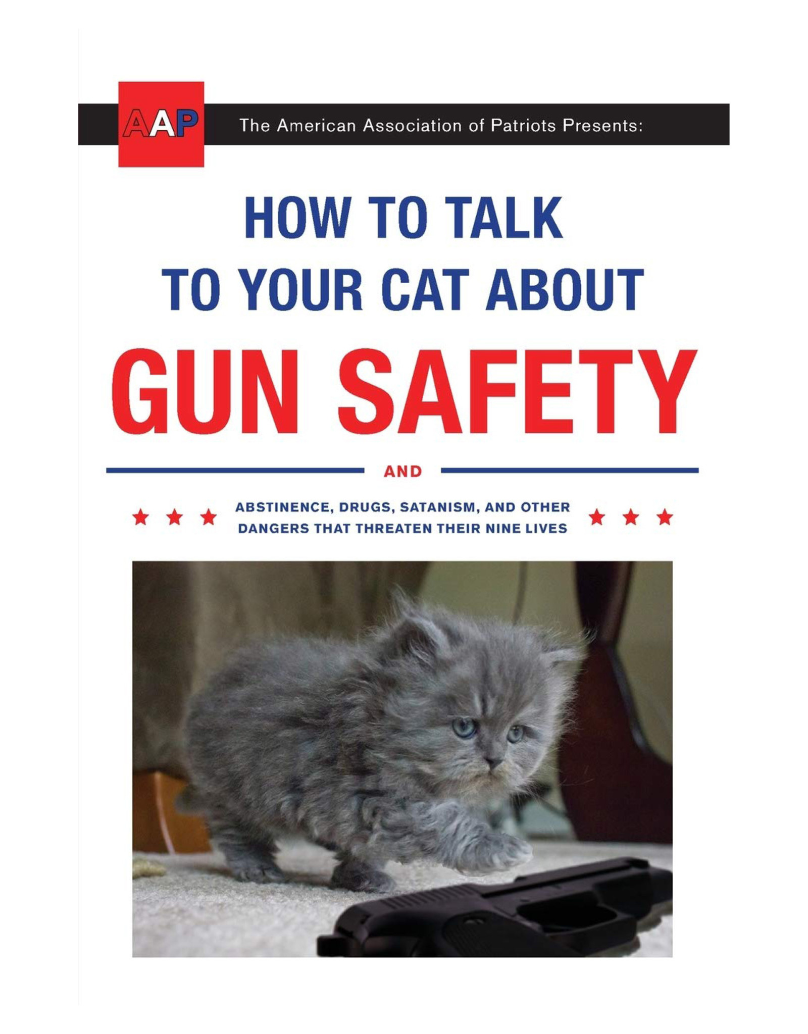 How To Talk To Your Cat About Gun Safety