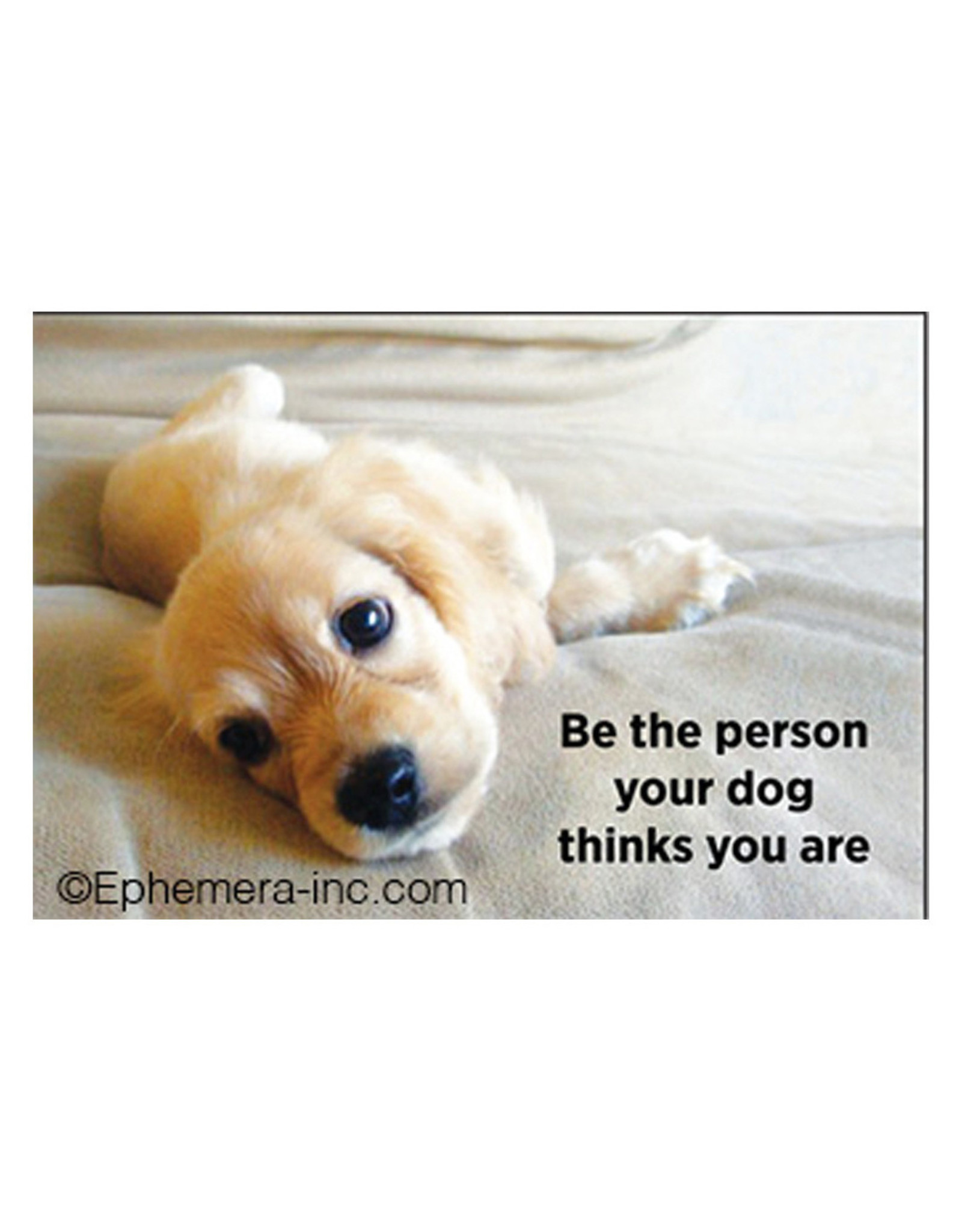 Be the Person Dogs Think You Are Magnet