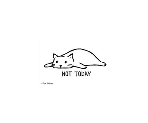 Not Today Cat Magnet