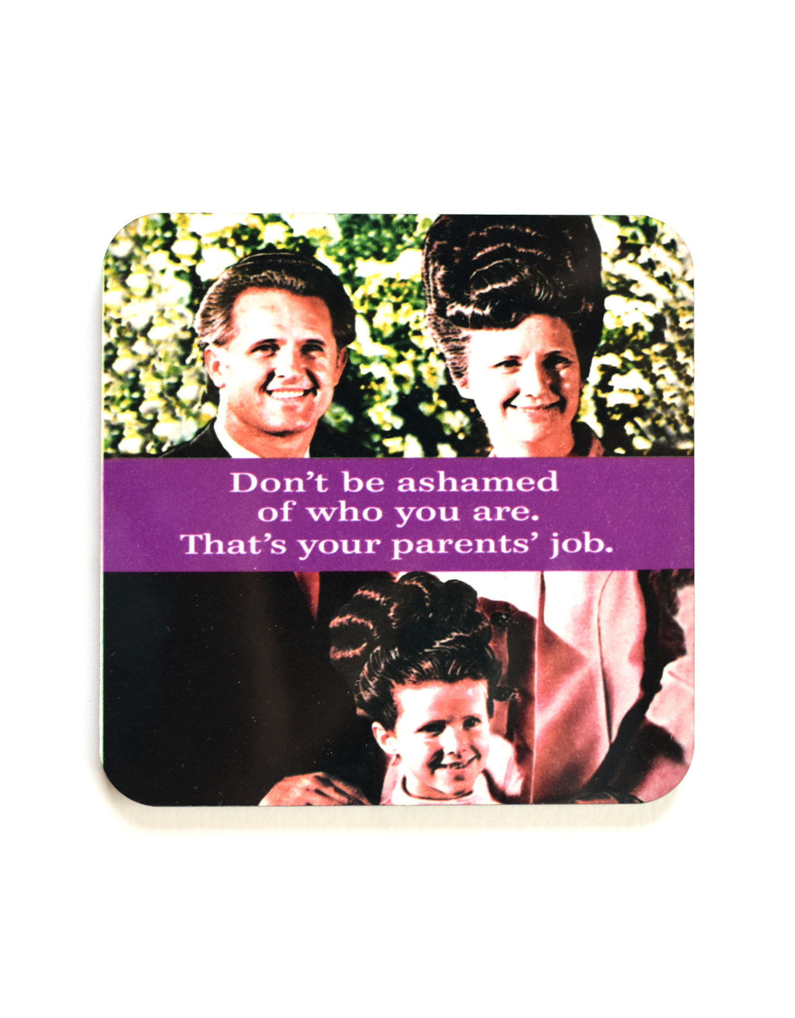 Don't Be Ashamed, That's Your Parents Job Coaster