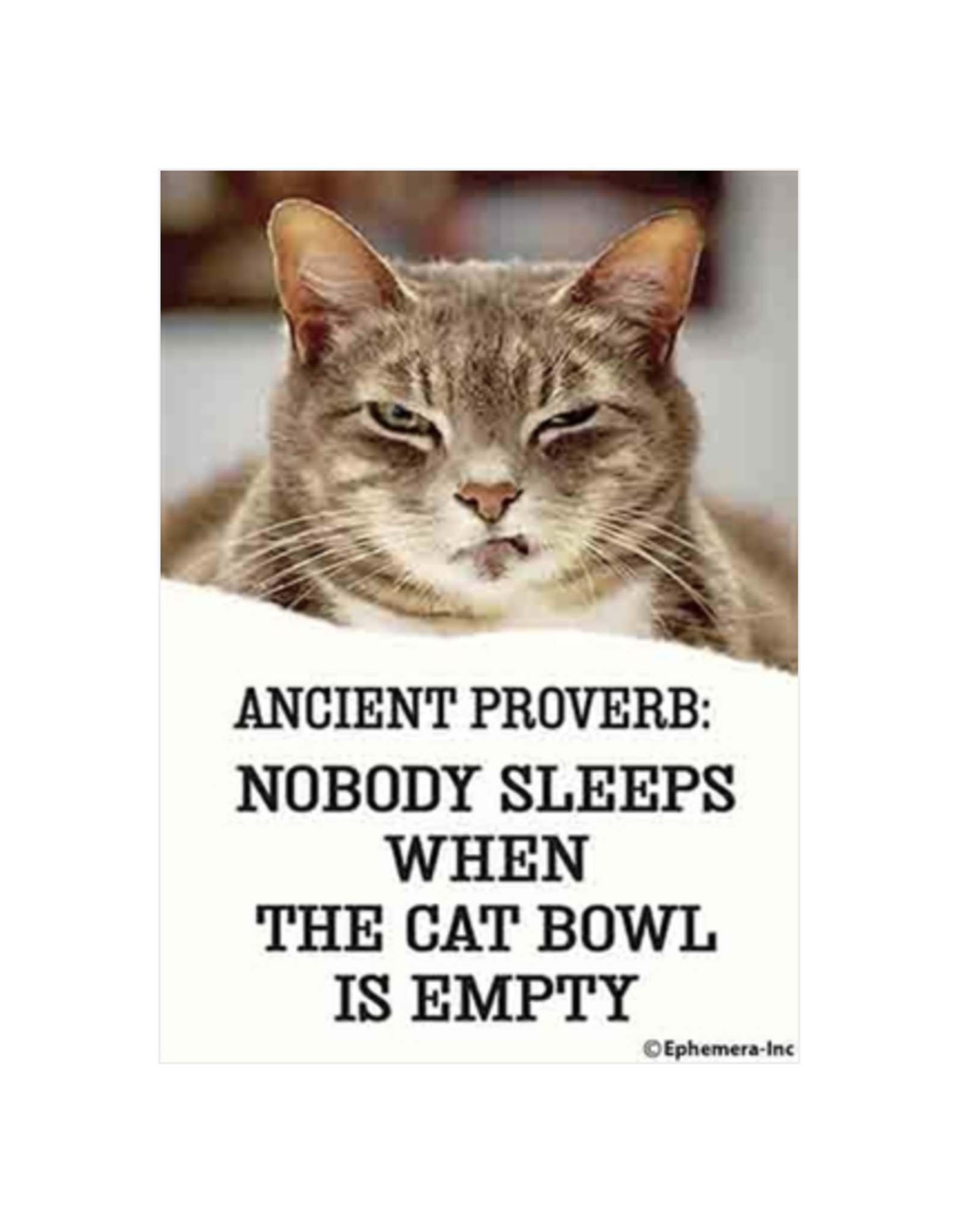 Ancient Proverb: Empty Cat Bowl Magnet