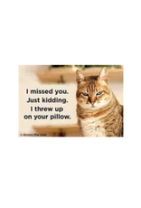 Threw Up on Your Pillow Cat Magnet