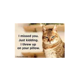 Threw Up on Your Pillow Cat Magnet