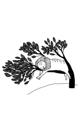 The Illustrated Compendium Of Amazing Animal Facts