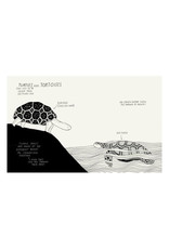 The Illustrated Compendium Of Amazing Animal Facts