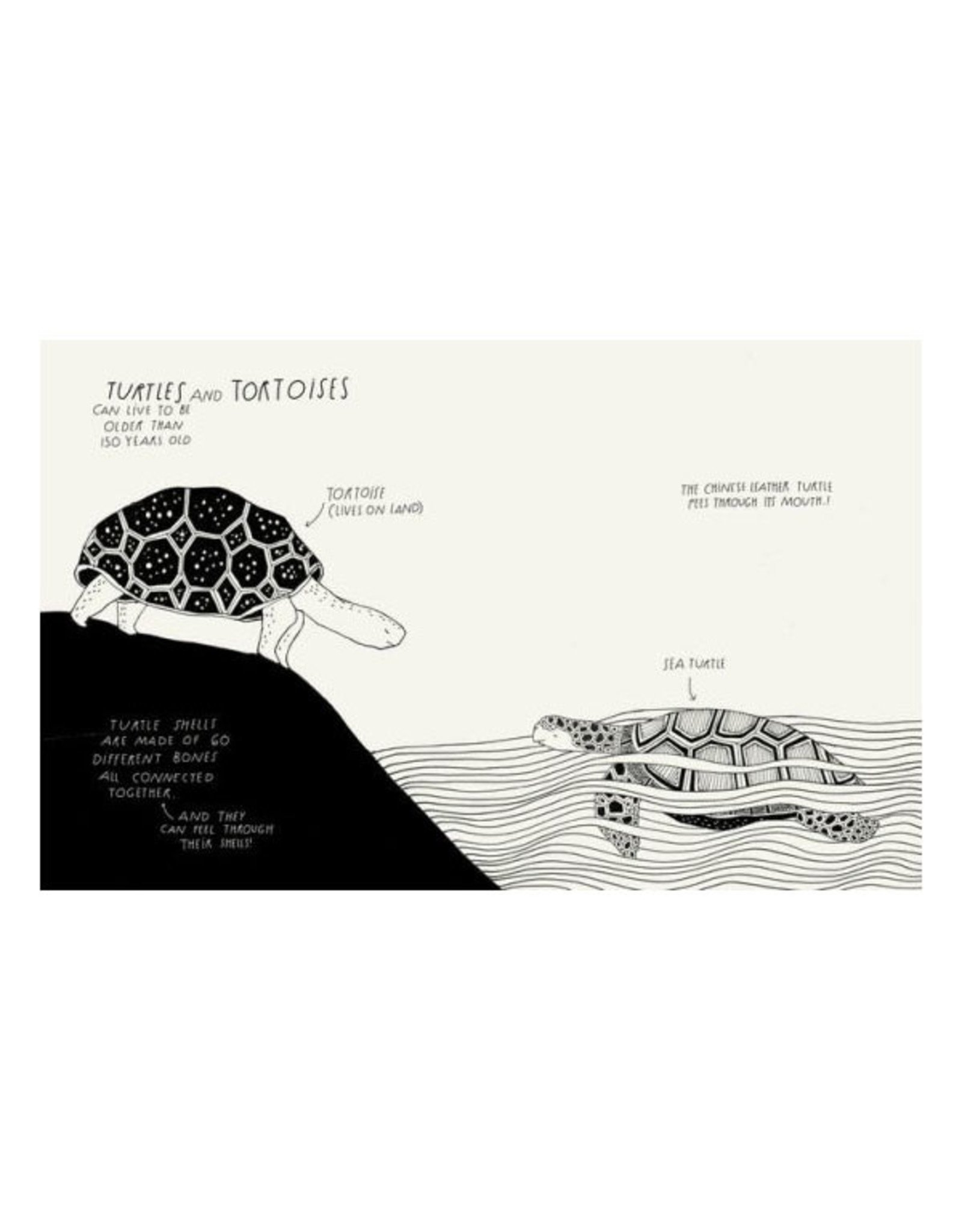 The Illustrated Compendium Of Amazing Animal Facts