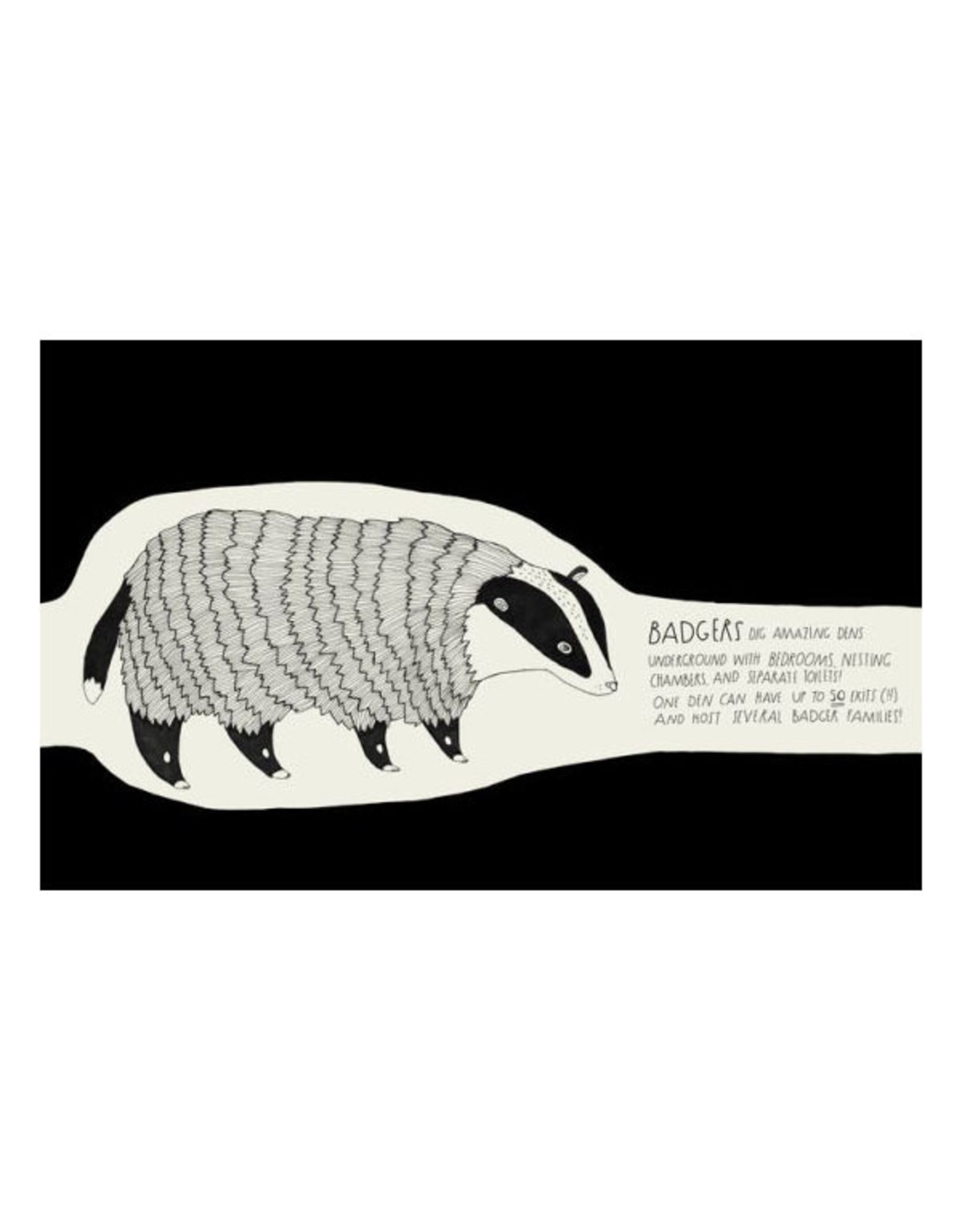 The Illustrated Compendium Of Amazing Animal Facts