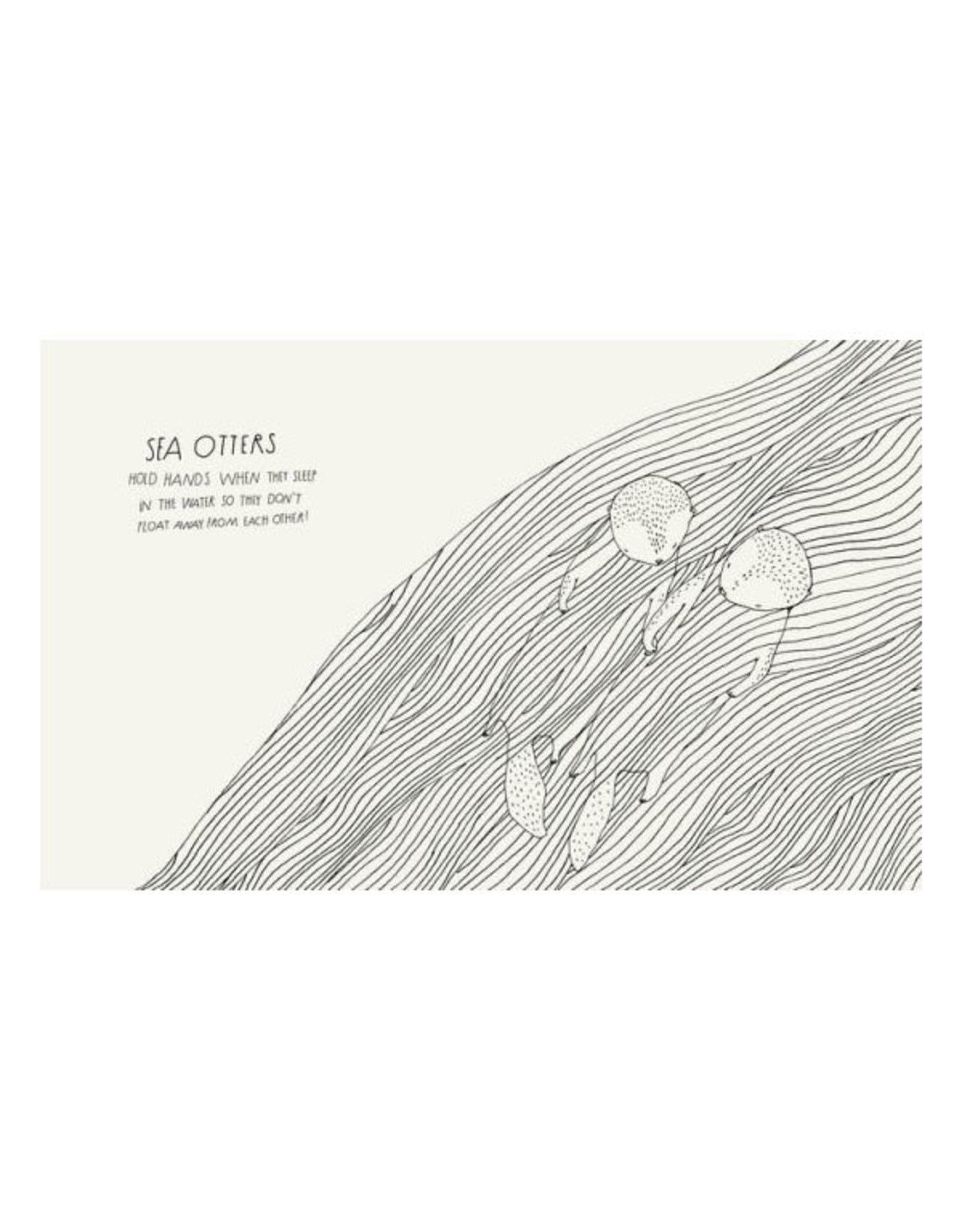 The Illustrated Compendium Of Amazing Animal Facts