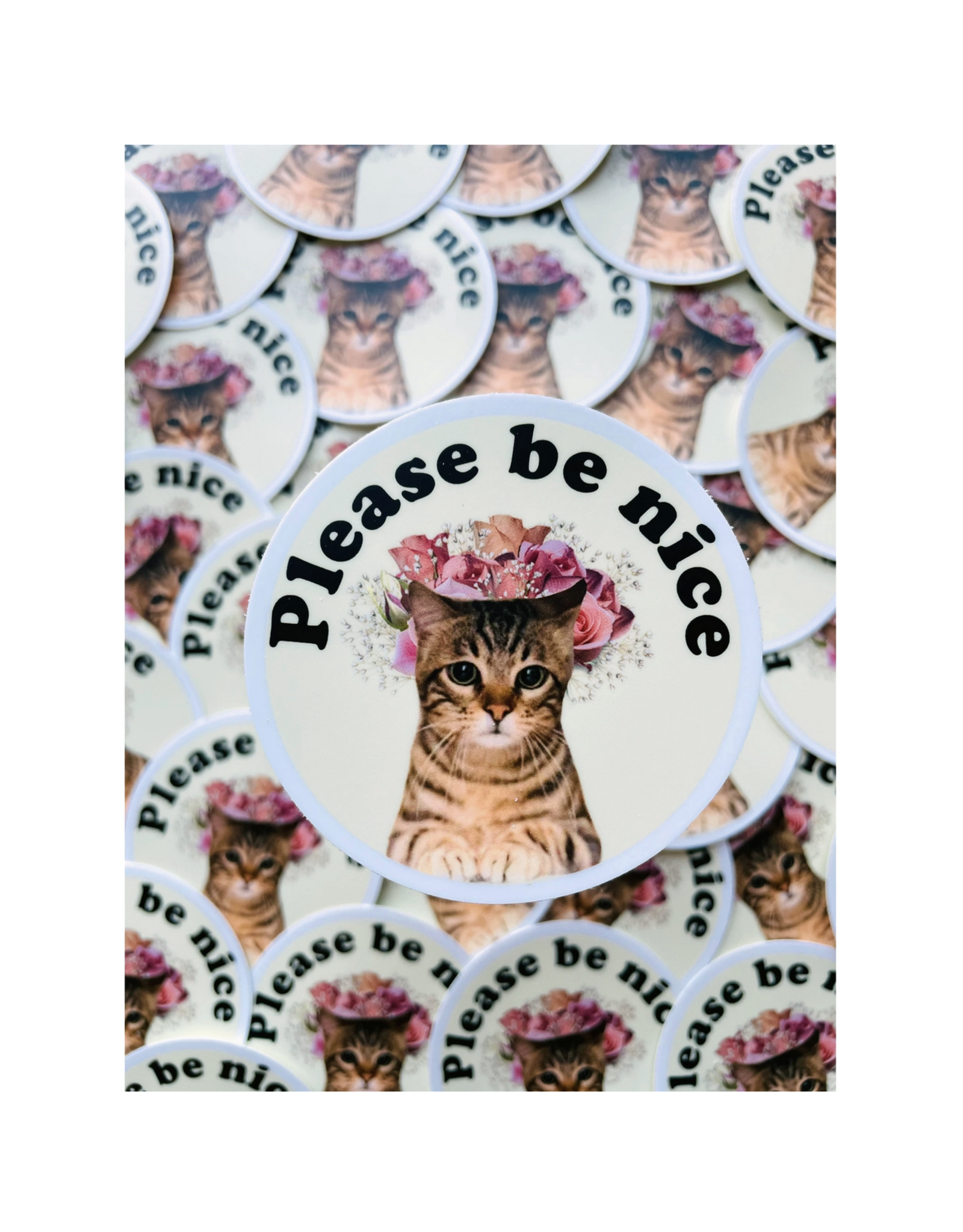 Please Be Nice Cat Sticker