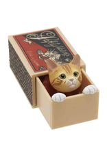 Cat Peek Matchbox Blind Box