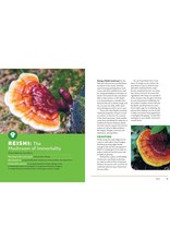 How to Forage for Mushrooms Without Dying