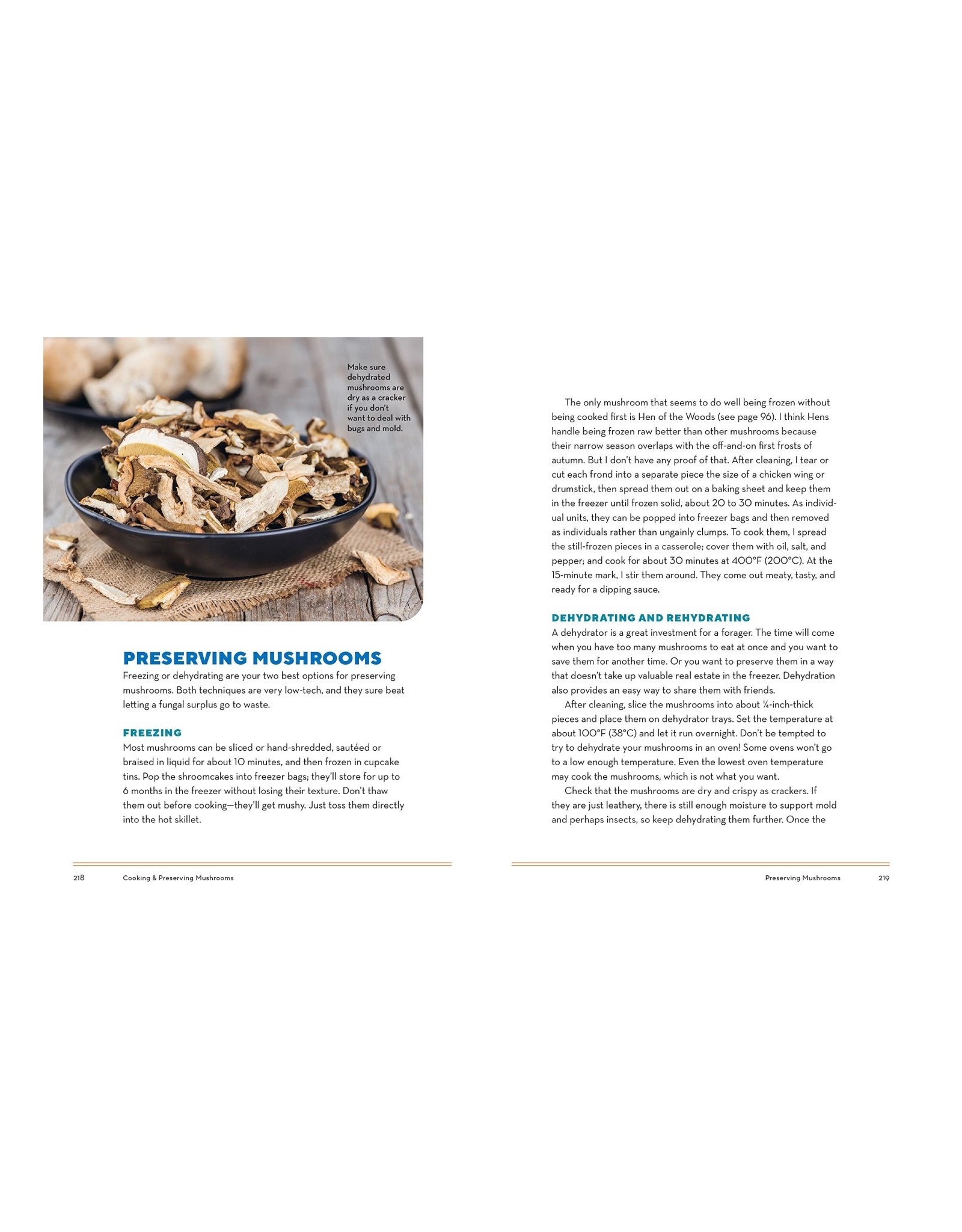 How to Forage for Mushrooms Without Dying