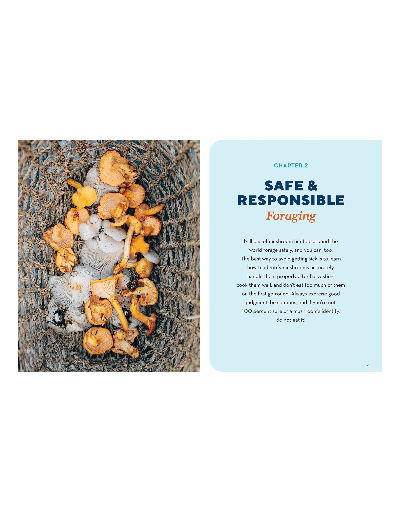 How to Forage for Mushrooms Without Dying