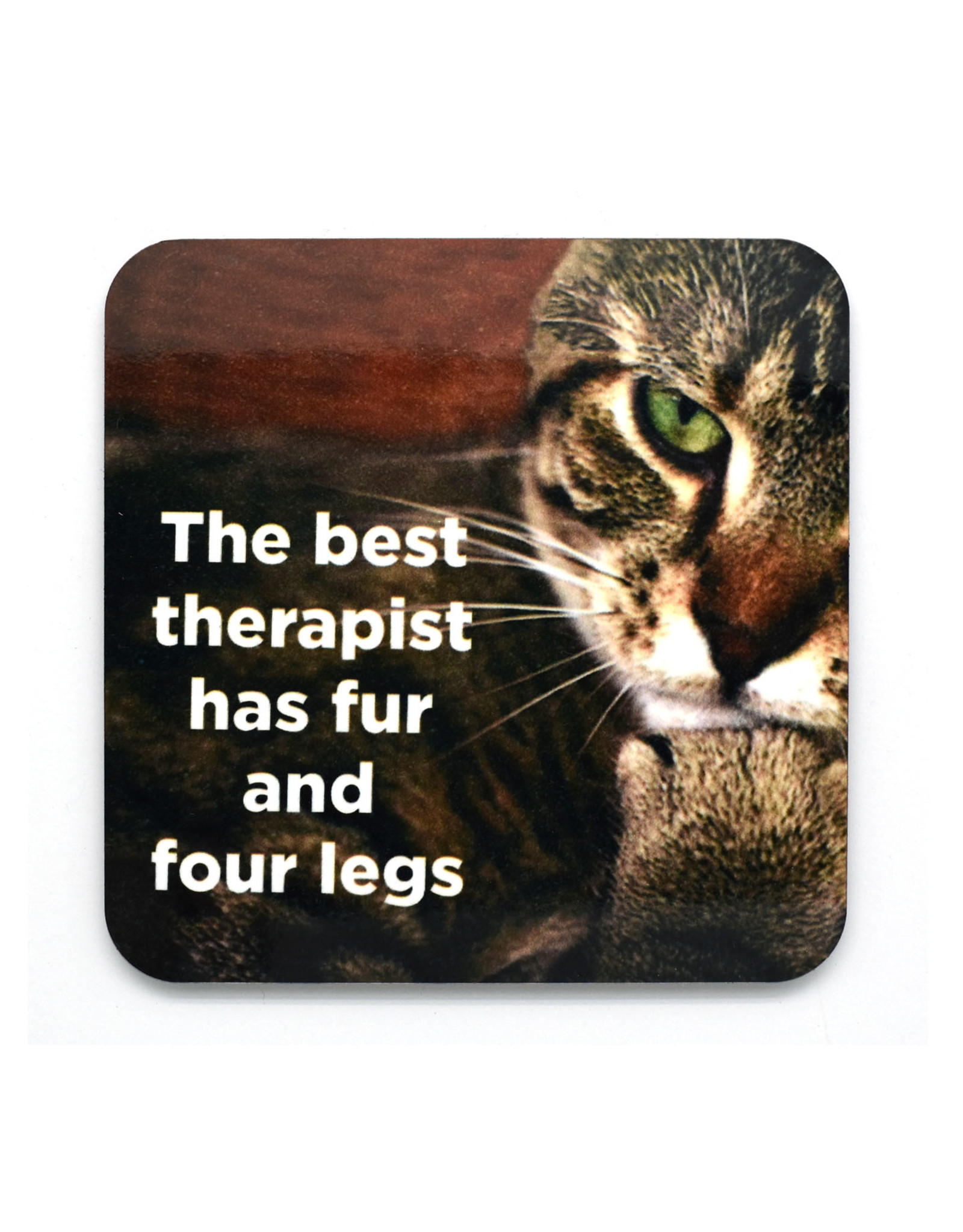 Best Therapist has Fur and Four Legs Coaster *