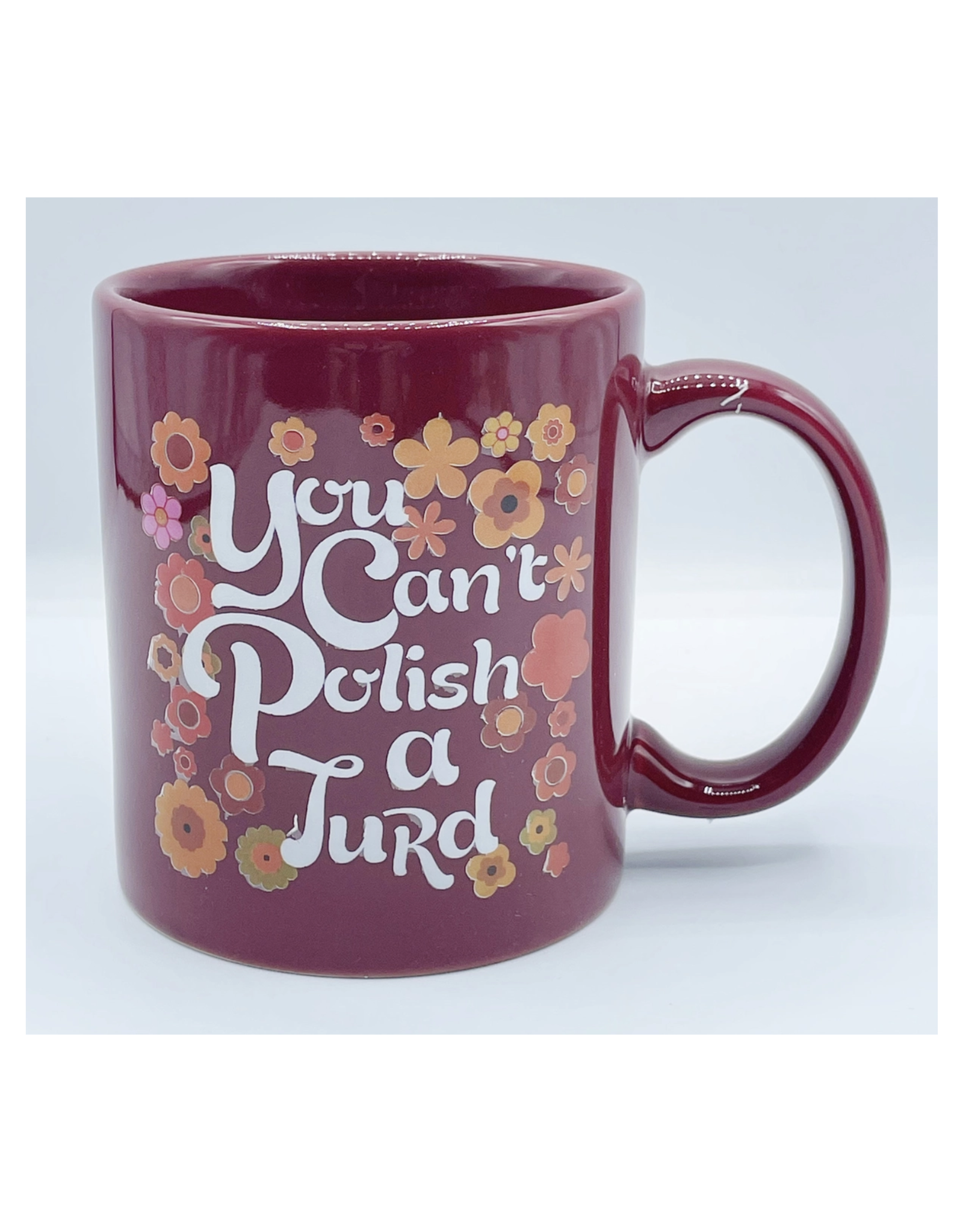 You Can't Polish a Turd Mug
