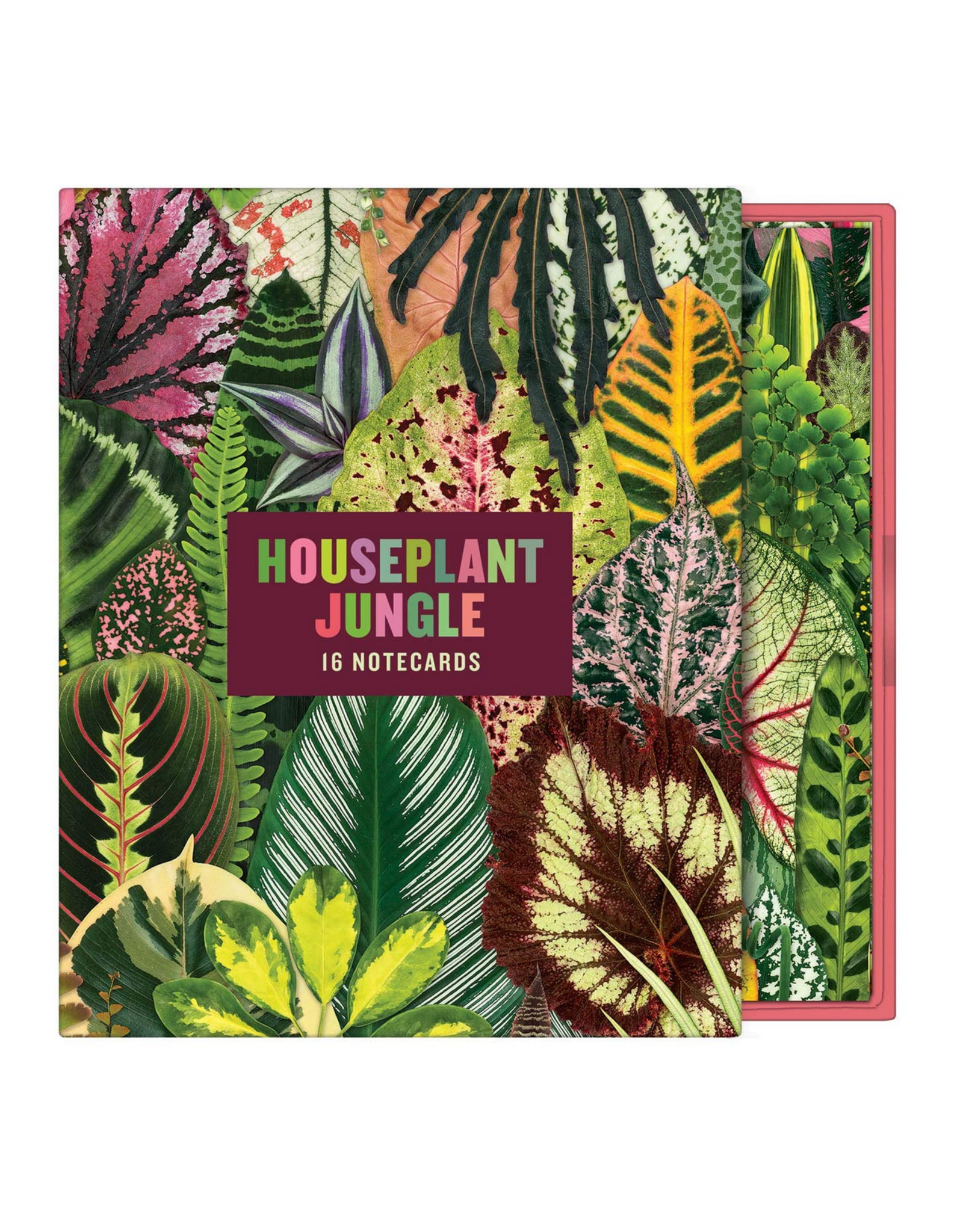 Houseplant Jungle Notecards