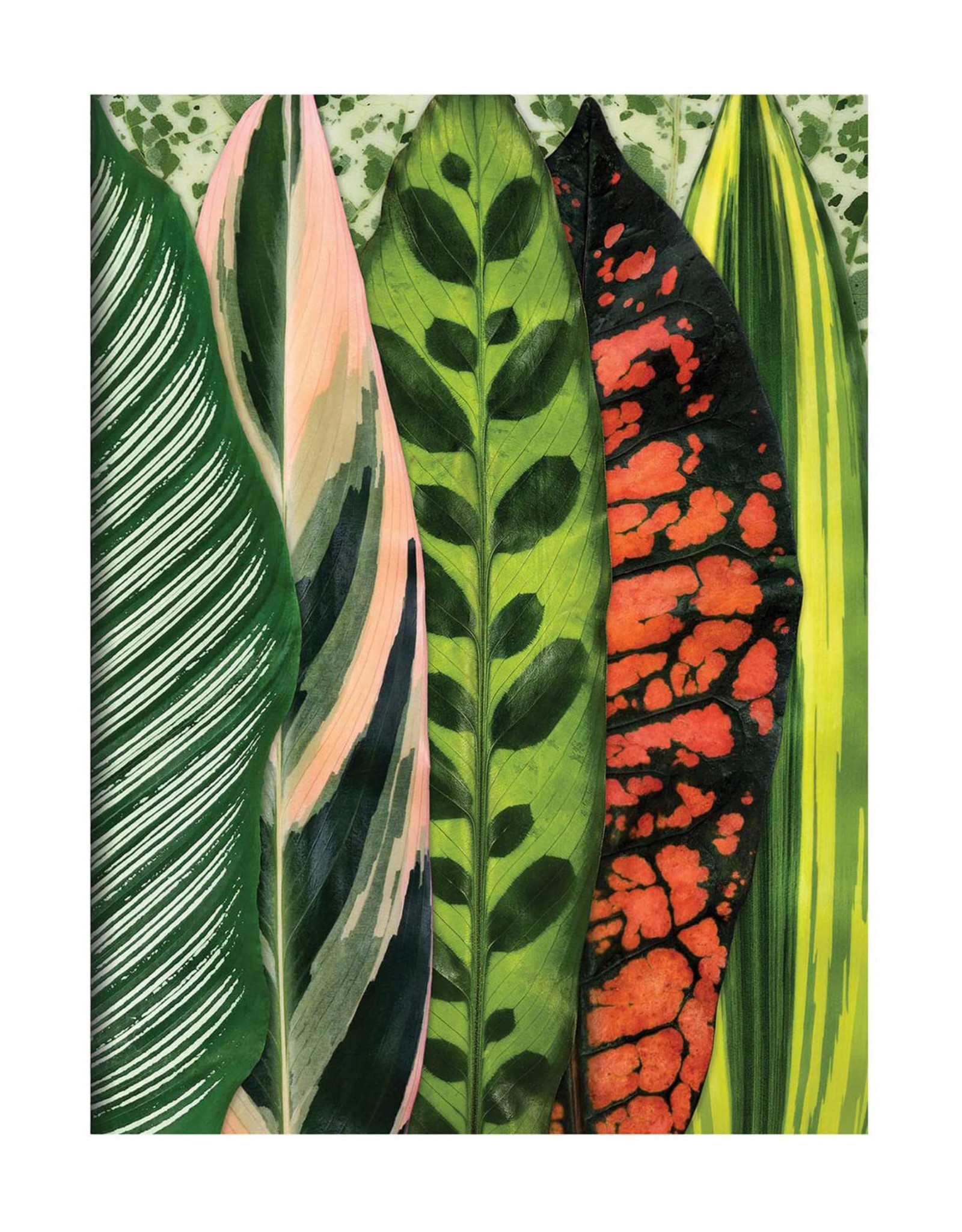 Houseplant Jungle Notecards