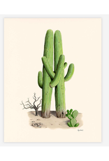 Old Friends (Cactus) Print