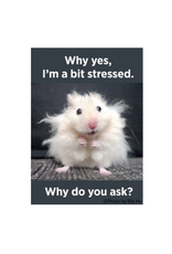 Why Yes I'm A Bit Stressed Why Do You Ask? Magnet