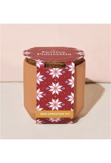 Tiny Terra Cotta - Festive Poinsettia * Tiny Terra Cotta - Festive Poinsettia *