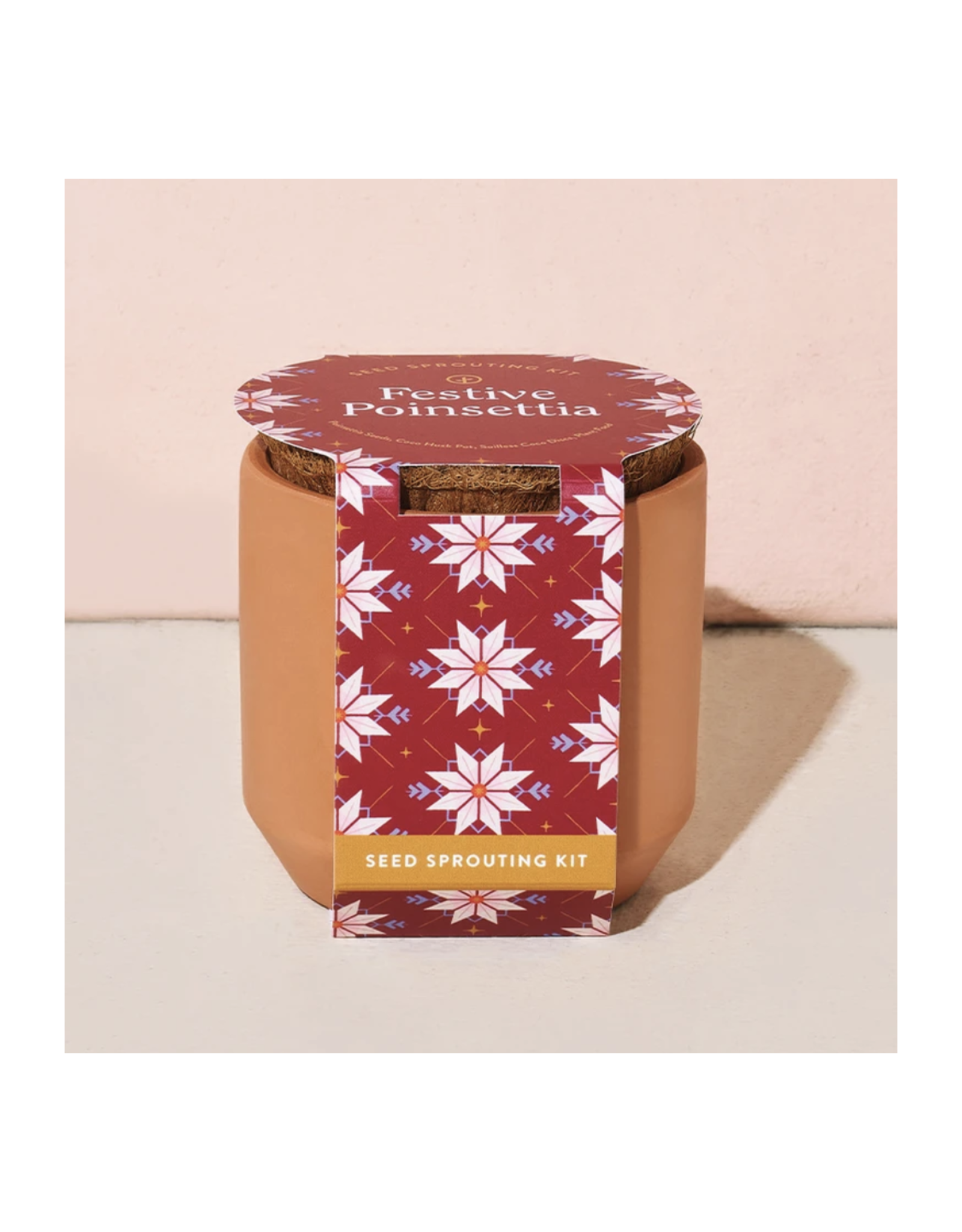 Tiny Terra Cotta - Festive Poinsettia *